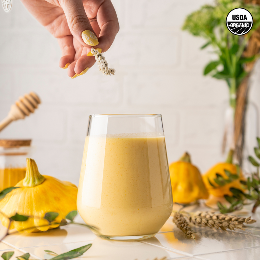 Mud\Wtr Turmeric Latte Starter Kit New Arrival